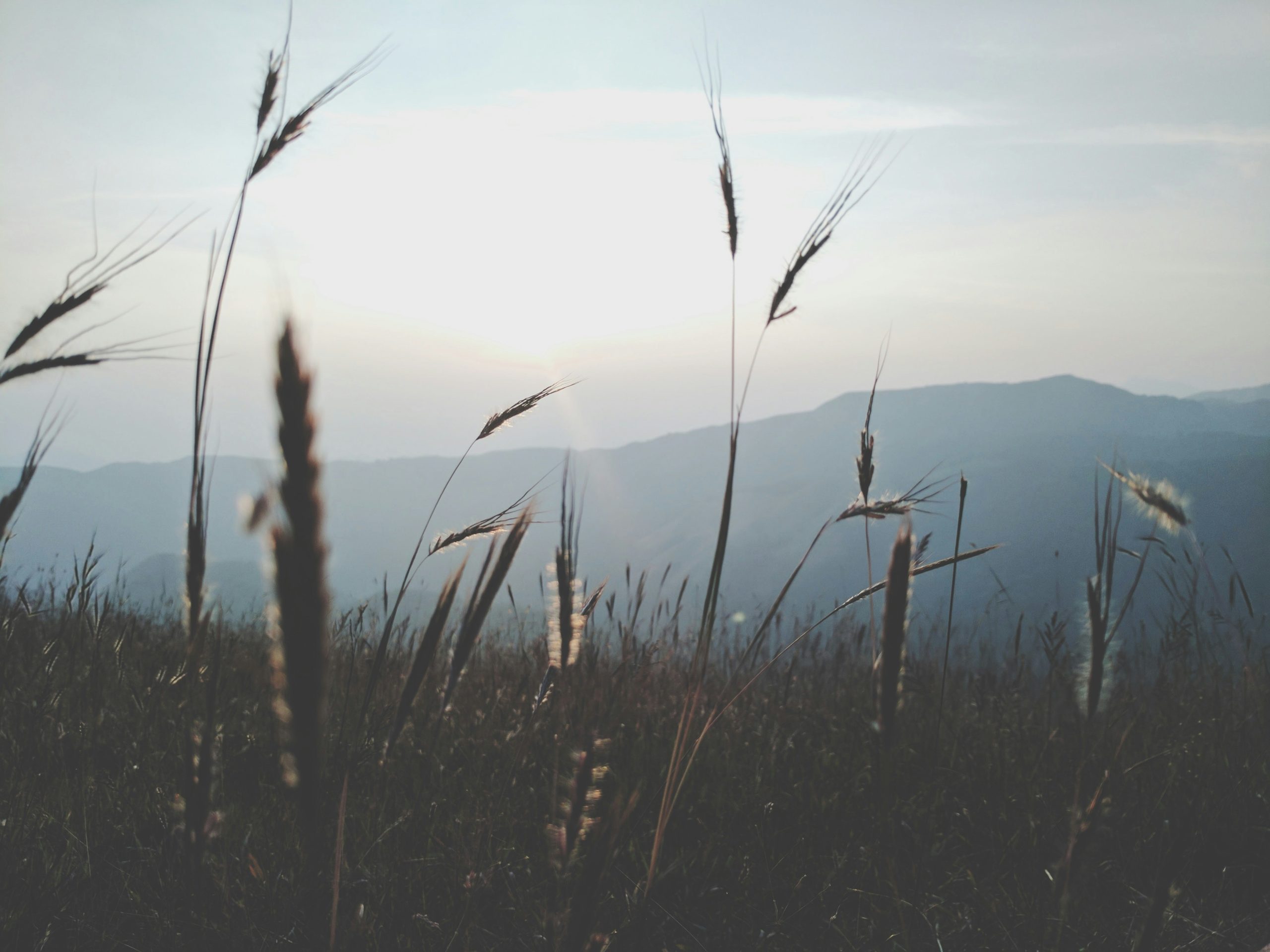 Smart Campus Mini Market